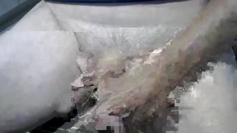 psfunman online show from February 2025 06:05:01 PM