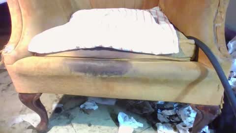 pspee313 online show from April 2026 07:45:01 AM