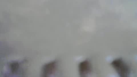 pumpkin3000 online show from November 2025 09:46:01 AM