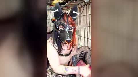 Pup Maxie HeHim online show from July 2026 06:29:01 PM