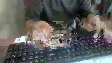 pup_y online show from September 2025 02:52:02 PM