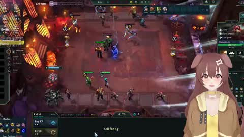 Inuyama Wanko online show from December 2024 03:47:01 AM