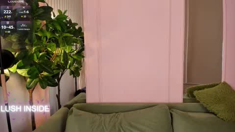 Alison online show from March 2026 02:09:01 PM