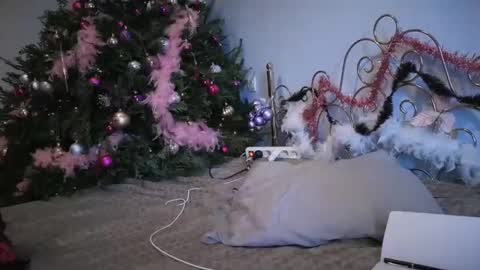 PurpleRainn69  Dina online show from December 2024 02:37:02 PM