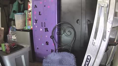 Mark online show from December 2024 10:23:02 AM