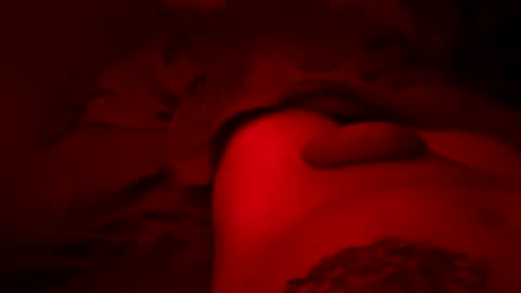 Pussylicker online show from March 2026 07:04:02 PM
