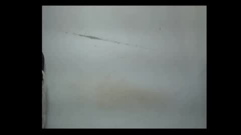 Snapshot of pussyxwetx chatting on February 2026 08:14:02 PM pussyxwetx online show from February 2026 08:14:02 PM