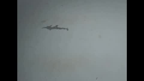 Snapshot of pussyxwetx chatting on February 2026 05:02:02 PM pussyxwetx online show from February 2026 05:02:02 PM