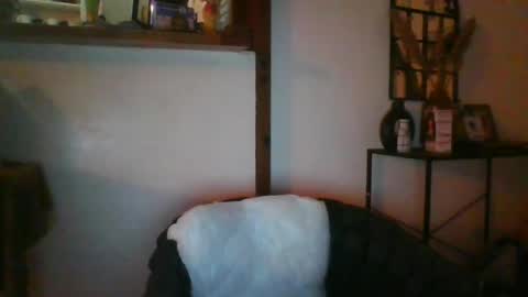 Python online show from July 2026 02:33:01 AM