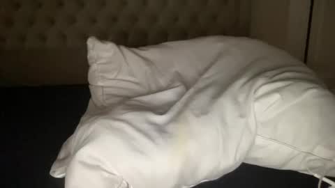 Snapshot of qlf0506 chatting on November 2025 02:01:02 AM qlf0506 online show from November 2025 02:01:02 AM