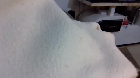 queen014 online show from December 2025 10:27:02 PM