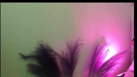 Queen Rosee  online show from February 2026 08:07:01 PM