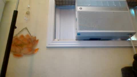 queencrimsonlvx online show from July 2026 03:54:02 PM