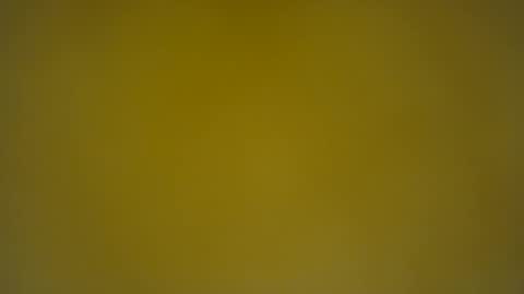 quinnxx online show from March 2025 06:43:01 AM