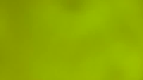 quinnxx online show from March 2026 06:28:02 AM