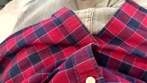 Snapshot of rad2615782 chatting on February 2026 10:19:02 AM rad2615782 online show from February 2026 10:19:02 AM