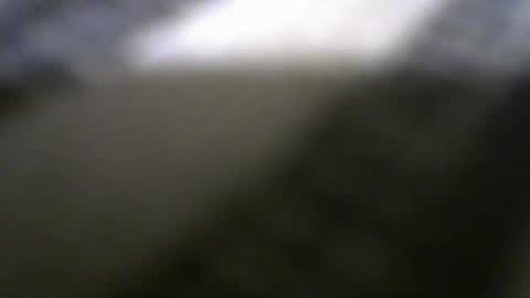 Rafaella online show from March 2025 06:37:01 PM