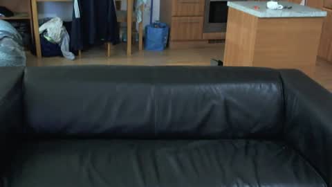 rafaelosteel online show from July 2026 10:40:02 AM
