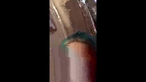 rainesupreme online show from March 2026 03:27:01 PM