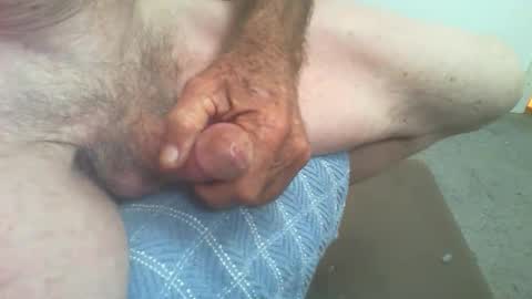 rattcatt online show from February 2026 01:39:02 PM