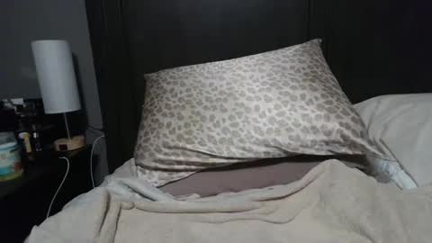 Snapshot of ravchat chatting on January 2025 08:02:01 PM ravchat online show from January 2025 08:02:01 PM