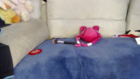 Ray  online show from January 2026 06:32:02 PM