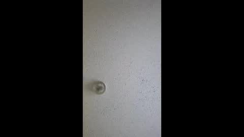 razalgirls online show from March 2026 09:21:02 PM