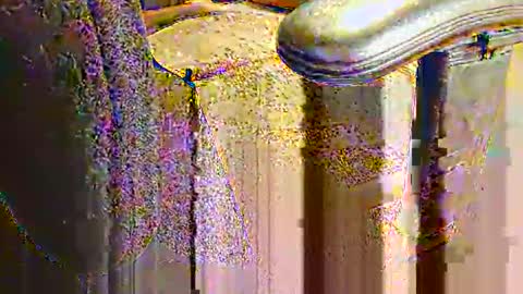 rb69er905364 online show from September 2025 06:30:02 PM