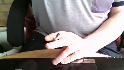 rdrew online show from May 2026 01:06:02 PM