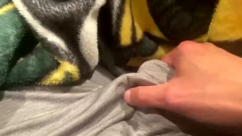 Snapshot of realbigload77 chatting on September 2025 02:23:01 AM realbigload77 online show from September 2025 02:23:01 AM