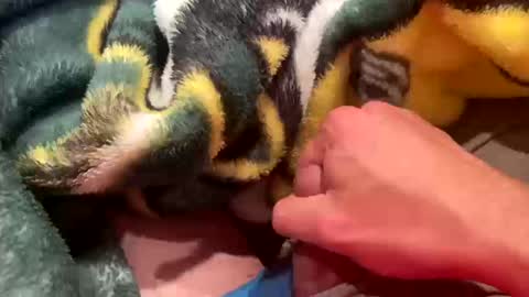 Snapshot of realbigload77 chatting on October 2025 02:55:02 AM realbigload77 online show from October 2025 02:55:02 AM