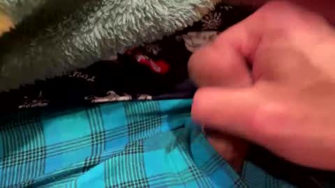 Snapshot of realbigload77 chatting on December 2025 03:26:02 AM realbigload77 online show from December 2025 03:26:02 AM