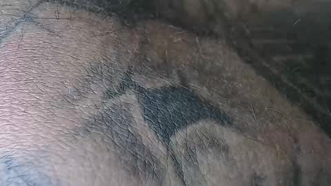 realrubpirate online show from November 2025 06:38:02 AM