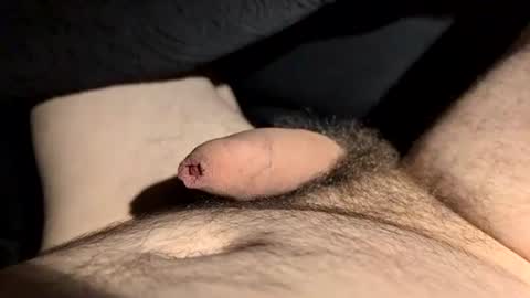 rebornbutbored online show from July 2026 01:30:02 AM