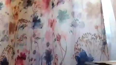 Snapshot of recka810 chatting on February 2025 09:42:02 PM recka810 online show from February 2025 09:42:02 PM