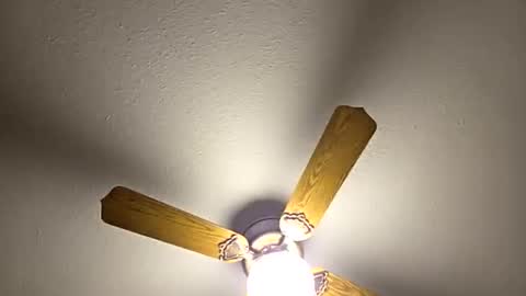 red24devils online show from March 2026 01:56:02 AM