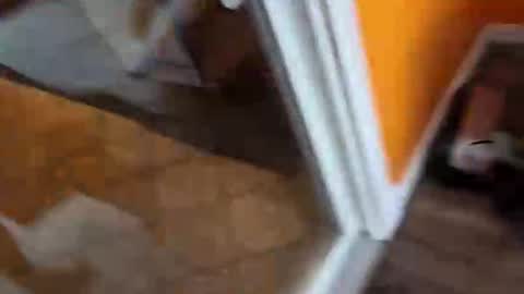 Snapshot of reggie007007 chatting on January 2026 02:08:02 PM reggie007007 online show from January 2026 02:08:02 PM