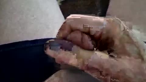 Snapshot of reggie007007 chatting on February 2026 01:29:02 PM reggie007007 online show from February 2026 01:29:02 PM