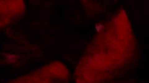 renuetto online show from October 2025 05:40:01 AM