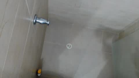 Rex online show from April 2026 02:58:02 PM