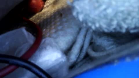 rgglen986 online show from February 2026 02:36:01 PM