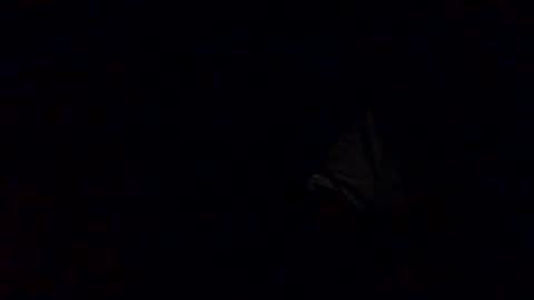 Snapshot of richardsone1 chatting on October 2025 03:27:02 AM Babu online show from October 2025 03:27:02 AM