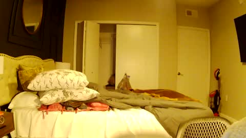 Snapshot of richierich813 chatting on October 2025 07:16:01 AM richierich813 online show from October 2025 07:16:01 AM