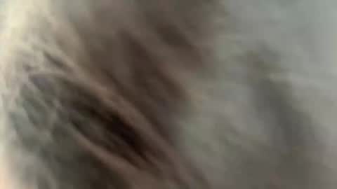 Snapshot of rickistegemann chatting on February 2026 02:22:01 AM Ammy here its my first stream here online show from February 2026 02:22:01 AM