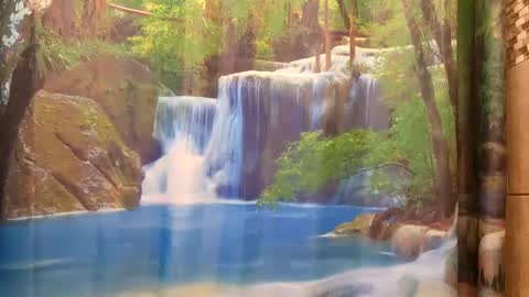 bwc daddy online show from December 2024 09:48:01 PM