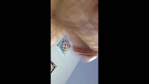ridik2222333375562 online show from May 2026 02:52:01 AM