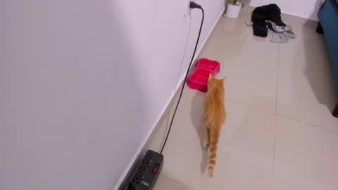 Rihanna hotx online show from December 2025 03:35:02 AM