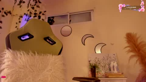 Snapshot of riiley_ chatting on December 2024 09:07:01 AM Independent model online show from December 2024 09:07:01 AM