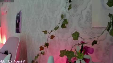 Snapshot of rileynymph chatting on July 2026 07:26:01 AM My name is Riley Like my broadcast pls 3 online show from July 2026 07:26:01 AM