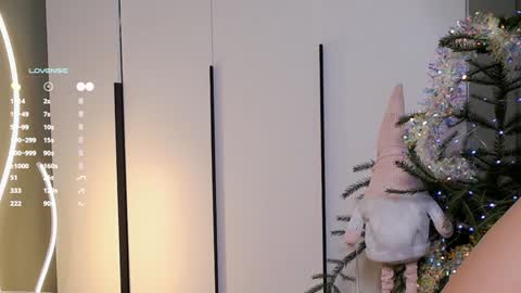 Rina online show from December 2024 08:29:01 AM